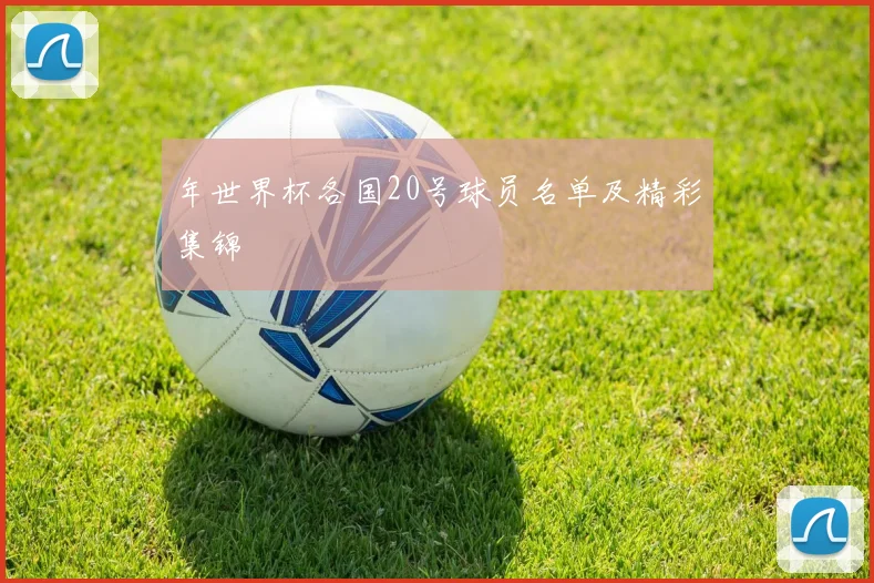年世界杯各国20号球员名单及精彩集锦