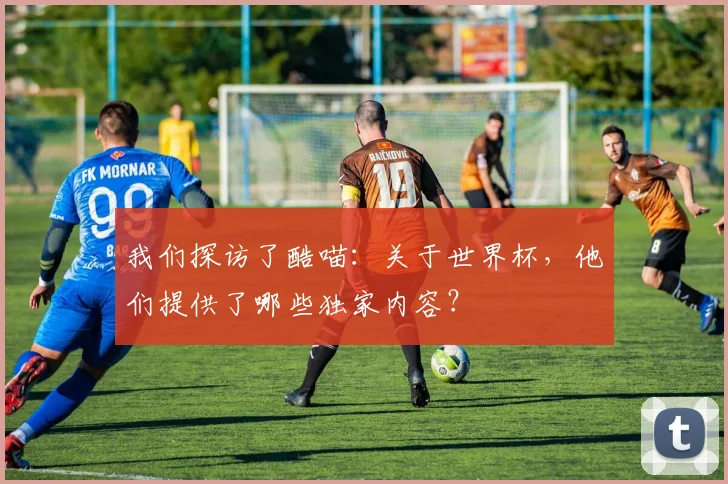 我们探访了酷喵：关于世界杯，他们提供了哪些独家内容？
