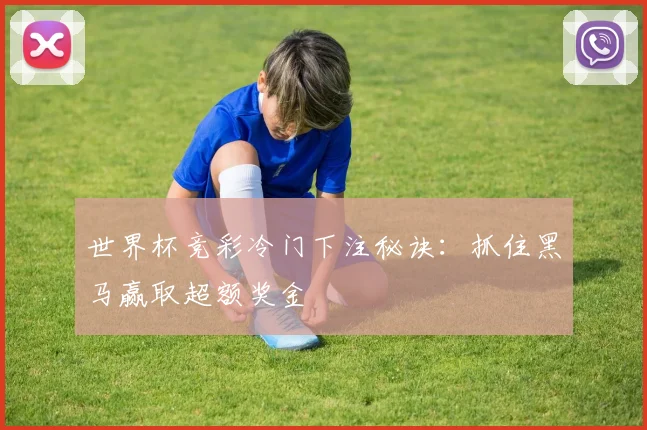 世界杯竞彩冷门下注秘诀:抓住黑马赢取超额奖金