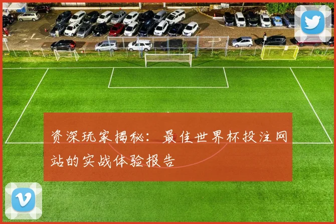 资深玩家揭秘:最佳世界杯投注网站的实战体验报告