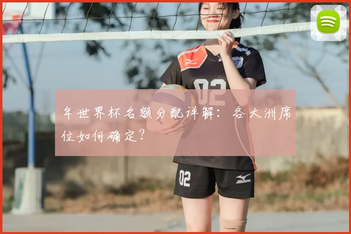 年世界杯名额分配详解：各大洲席位如何确定？