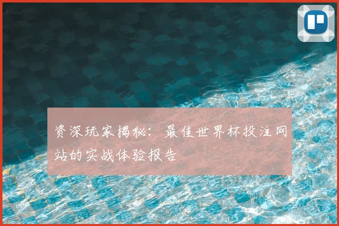 资深玩家揭秘:最佳世界杯投注网站的实战体验报告