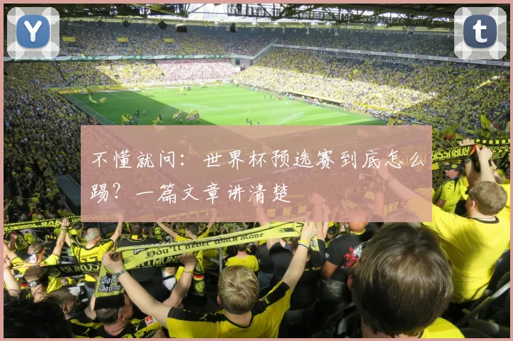 不懂就问：世界杯预选赛到底怎么踢？一篇文章讲清楚